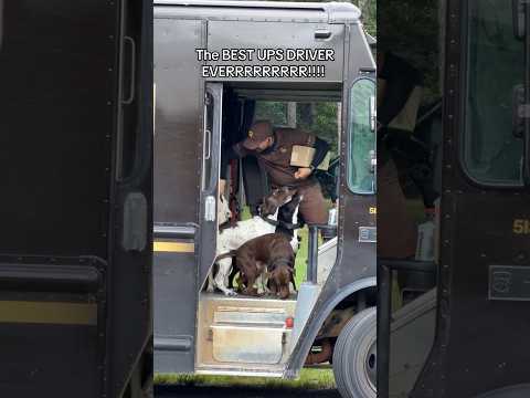 Delivery Instructions: Bring the Box, Stay for the Dog 🐶#shorts #dogs #dogvideos #deliverydriver