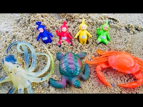 Sand Digging TELETUBBIES Toys and Ocean Creatures!