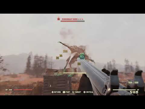 1 minute queen solo, teamless, private server