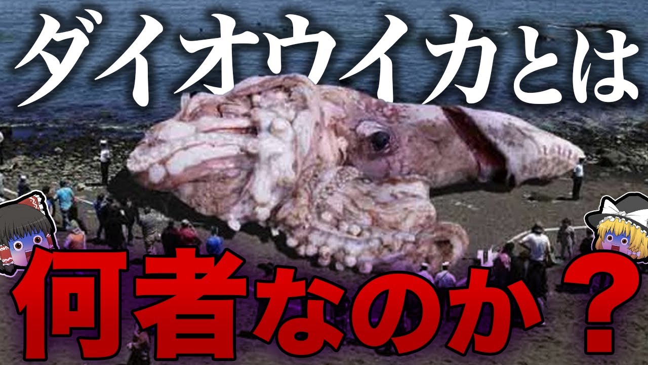 【ゆっくり解説】伝説の巨大生物は地球外生命体だった？ダイオウイカとは何者なのか