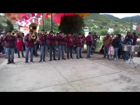 Banda Penka Dorada dando mañanitas en la Feria Patronal San Pedro Nopala 29 de junio 2023