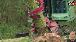 Extreme Dangerous Fastest Big Chainsaw Cutting Tree Machines | Biggest Heavy Equipment Machines #10
