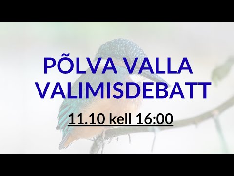 Põlva valla valimisdebatt 2025