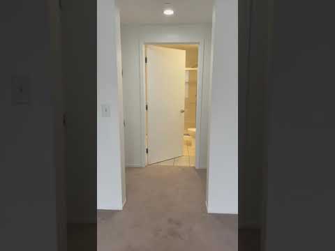 Apt 217 - One Bedroom Flex