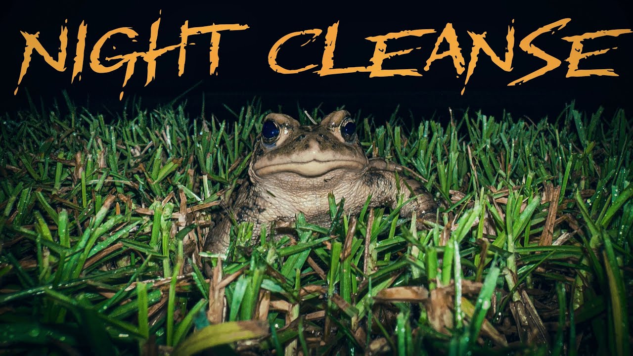 Night Cleanse (2025) | A Short Film