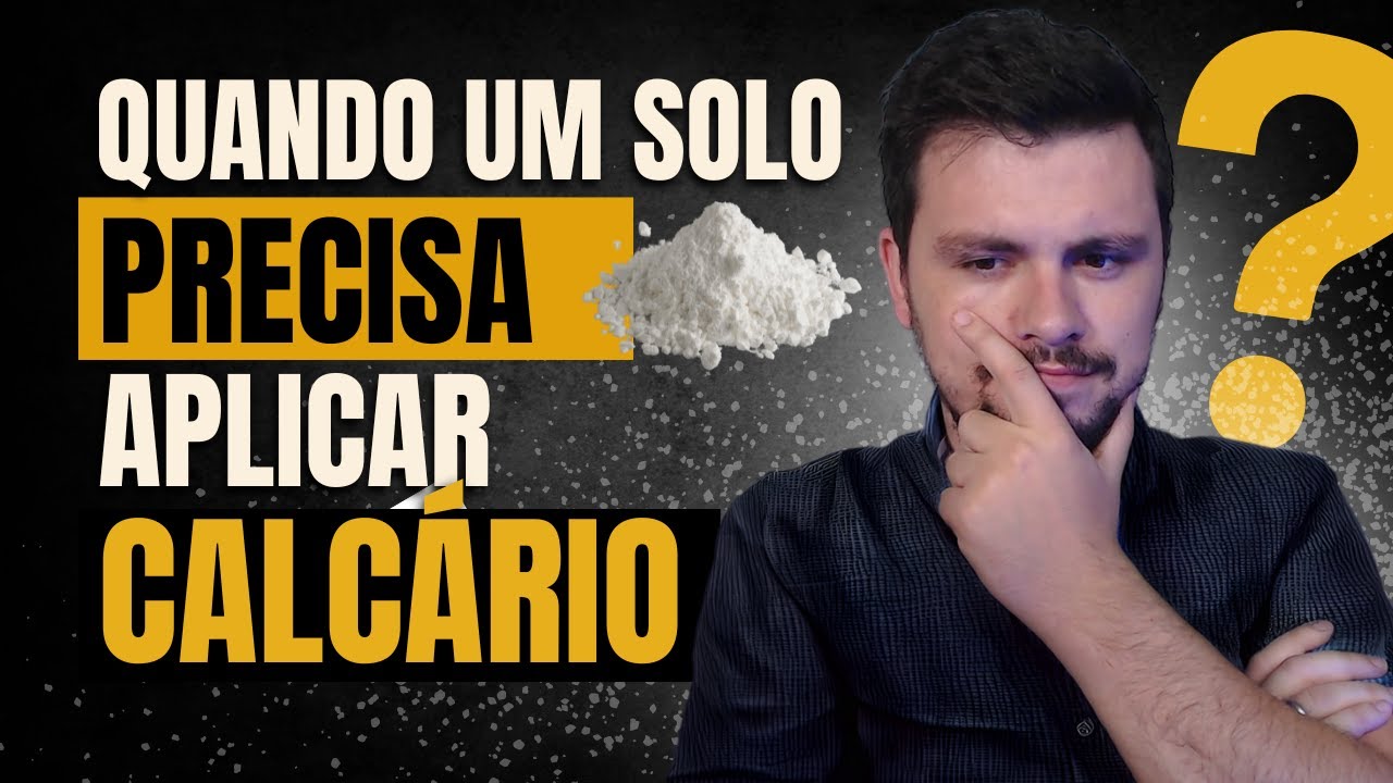 Quando o solo precisa de calcário