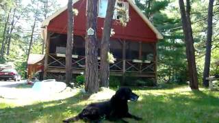 preview picture of video 'Byron relaxing at the lake house in Tamworth, New Hampshire'