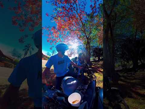 Finca en Santa Fe de Antioquia, esto es otra cosa gente #contenido #viral #humor #family