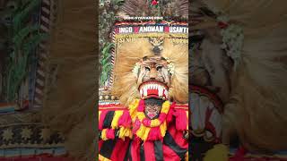 Download lagu REOG SINGO KANOMAN NUSANTORO || STORY WA mp3