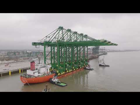Video: Mira la llegada de las nuevas grúas del Project Emerald de PSA Antwerp