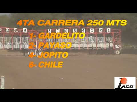 GARDELITO EL PANGARE CRUZ DEL EJE 10 7 2022