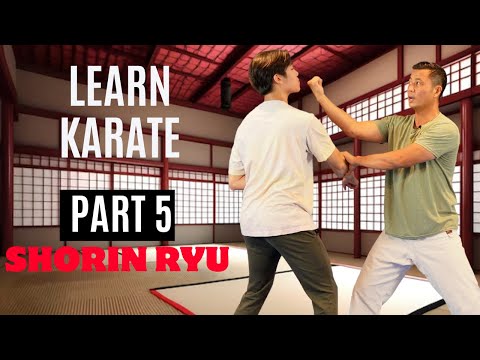 Martial Arts Tutorial | Shorin Ryu | Part 5 (Naihanchi Shodan kata and applications)