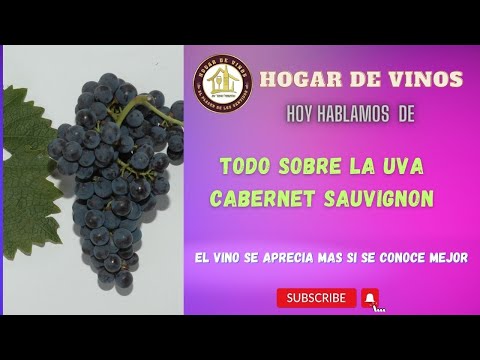 , title : 'Todo sobre la uva Cabernet Sauvignon'