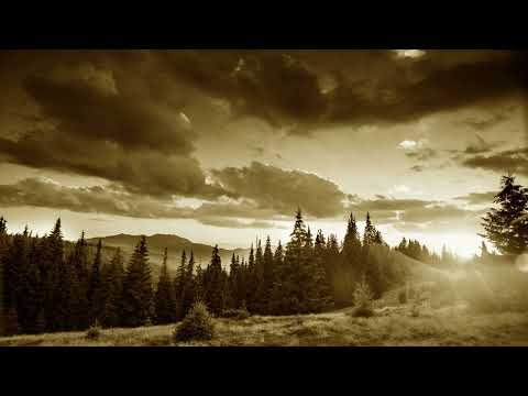 Sága krásy – Dávnymi cestami ukrajinského viachlasu | Along the Ancient Paths of Ukrainian Polyphony