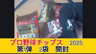 カルビー プロ野球チップス2025 第1弾 2袋　開封 - みづの廃信