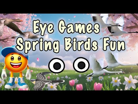 Eye games 🦢 Spring Birds Fun 🦢 Eye Exercises 🦢 Song for kids