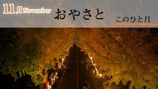 「11月November」『おやさと このひと月』