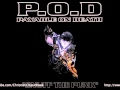 Track 09 "Three In The Power Of One" - Album "Snuff The Punk" - Artist "P.O.D."