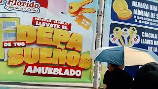 海外投資 専門家 メキシコ 陸で入国