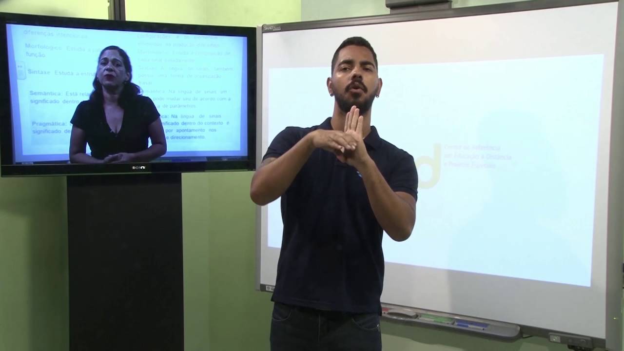 AULA 1 - LINGUÍSTICA DA LÍNGUA DE SINAIS II