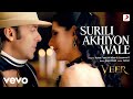 Surili Akhiyon Wale Full Video Veer Salman Khan Zarine Khan Rahat Fateh Ali Khan