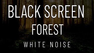 Forest sounds | White Noise | Sleep | Meditate | Relax | Yoga