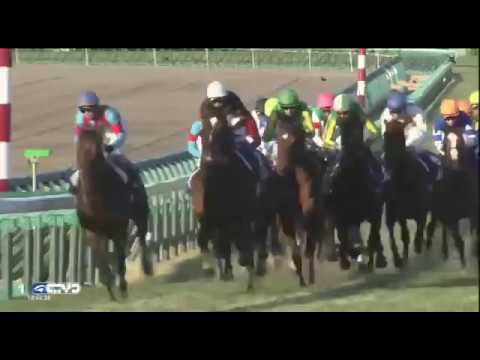 2016.12.25 Arima Kinen (The Grand Prix)(JPN) - Satono Diamond