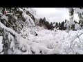 Genieten: winter wonderland bij de Lek