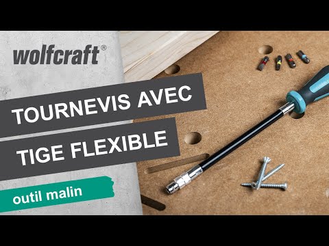 1236000_Hand-Screwdriver-With-Flexible-Shaft_PRO_SCP_fr_2023.mp4