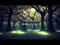michael franks: i don't know why i'm so happy i'm sad (lyrics)