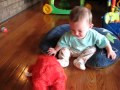 Funny Baby Video 6 Month Old Gets New Tickle Me Elmo X TMX Gives Him Plenty Of Kisses