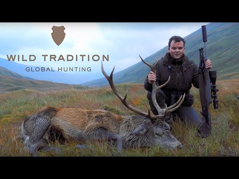 Hunting red stags in Scotland - Hirschjagd in Schottland - Wild Tradition