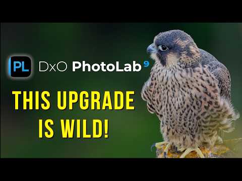 DxO PhotoLab 9 - What's new - Photo Editing for Wildlife Photographers
