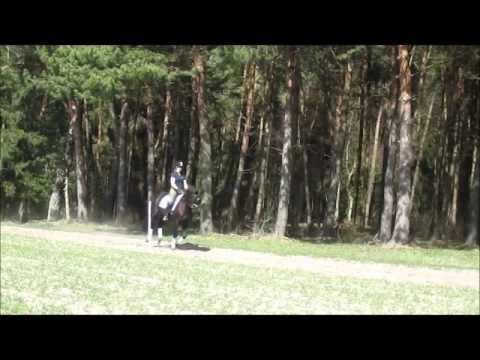 Connery a d Donauweide~Hohenstein