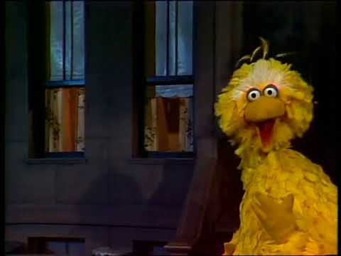 1501 - Big Bird Wakes Up Early 