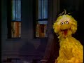 1501 Big Bird Wakes Up Early