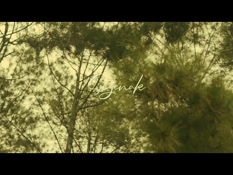 Sejenak - Khatulistiwa Ft. Avrilya (Official Music Video)