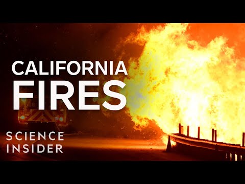 專家解釋如何控制加州的野火。 (An Expert Explains How To Control Wildfires In California)