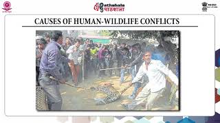 Man and Wildlife Conflicts