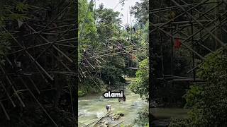 Download lagu Jembatan Rapuh Ini Dibangun Ulang Tanpa Paku! 😲 #shorts mp3 Download lagu Jembatan Rapuh Ini Dibangun Ulang Tanpa Paku! 😲 #shorts mp3