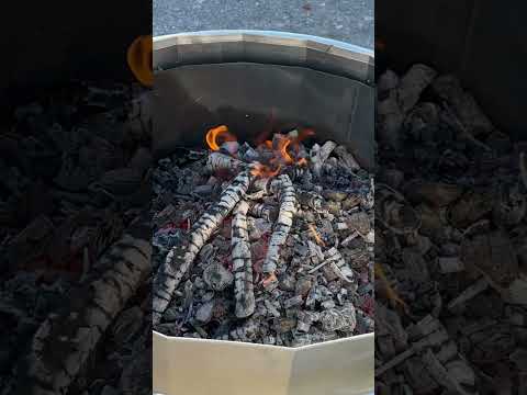 Permakultur 2025: Langfristige Vision für mehr Nachhaltigkeit