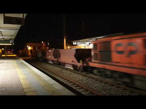 Comboio Especial n.º 95229 - Lamarosa