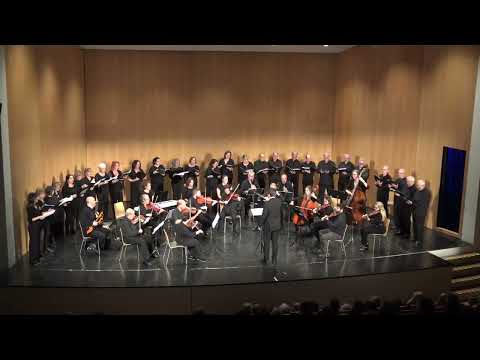 Video de la galería