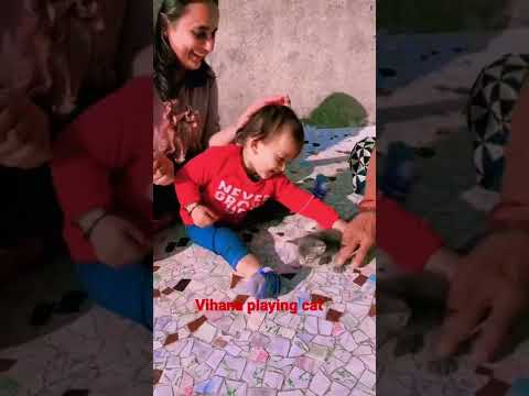 #Vihana playing cat# Mashti fun utarayan 2022