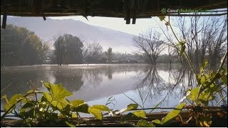 preview picture of video 'Senderismo por la Laguna del Padul, mirador del Mamut con Aula de la Naturaleza El Aguadero en Padúl'