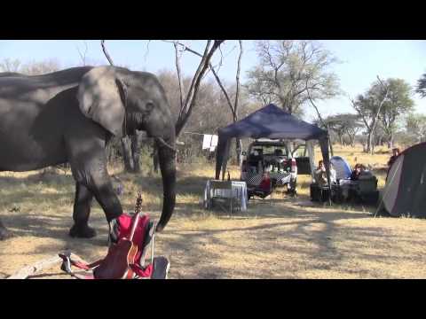 Elephant through our Campsite - Khwai River, Botswana 2012