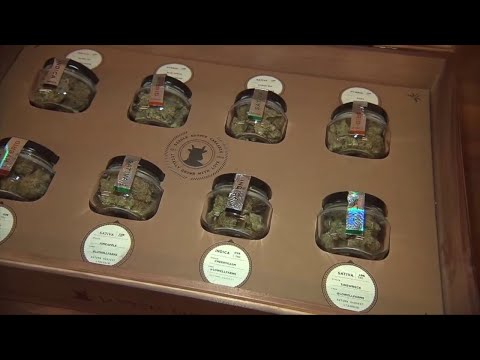 NJ Ocean County Lacey Township Rejects Marijuana