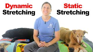 Dynamic Stretching vs Static Stretching: When to Use Each