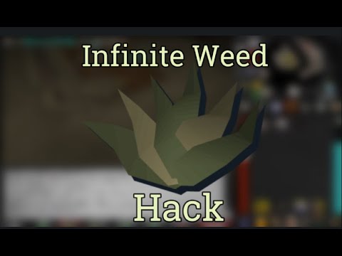 Goutweed | In 1 Click