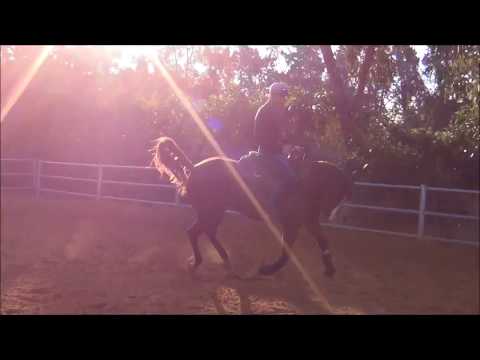 For Sale - AK Box of Diamonds - SOLD